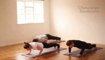 yoga-poses282
